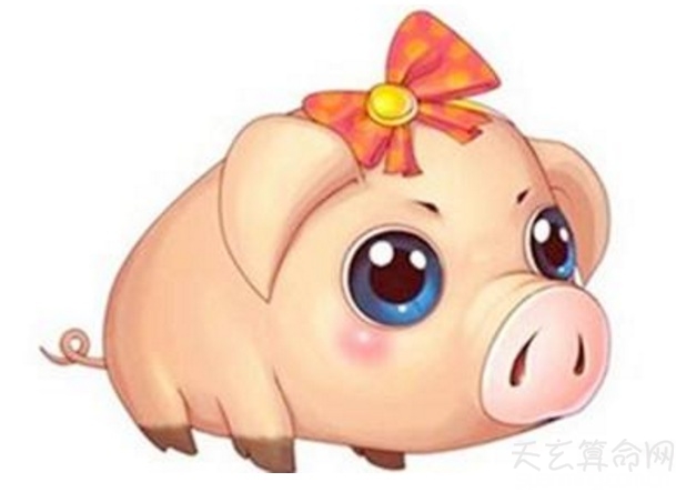 过往之猪是什么意思  生肖属猪的山头火命人