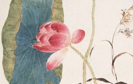 什么时辰出生的属马人命运最好,丑时马知足常乐