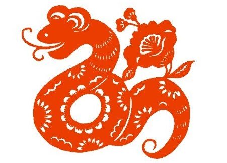 属蛇的今年多大，不同年份属蛇人年龄大全