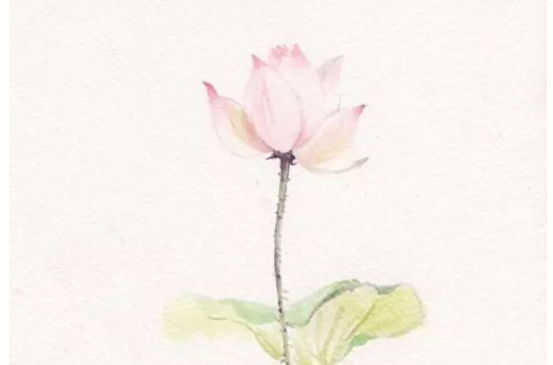 2020年3月16号出生的女孩怎么样取名字,结合八字起名