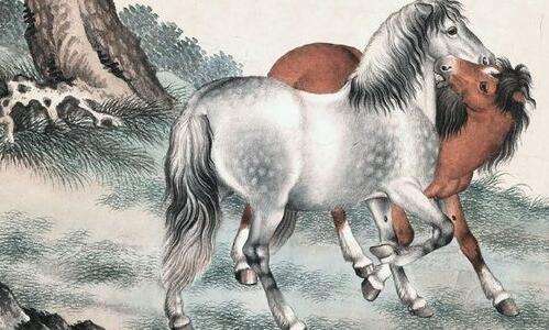 不同年份属马人2019运势 你不知道一定后悔