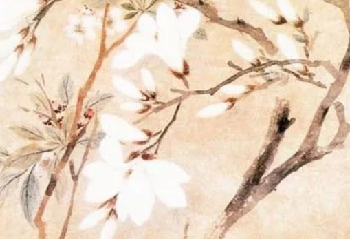2021年除夕出生的女宝宝名字怎么取,取名用字