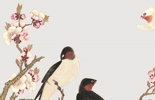 2021年5月24日农历四月十三出生的女孩起好听脱俗的名字