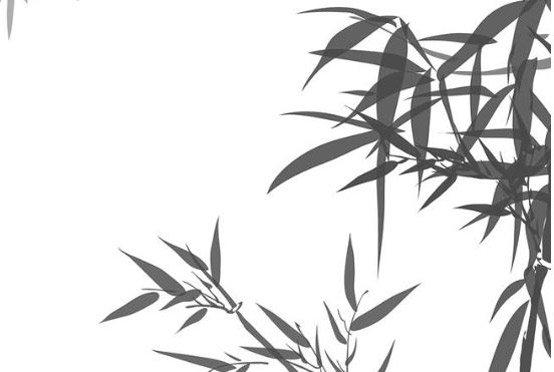 2020年2月19号正月二十六出生的女孩是什么命,如何起名字吉祥