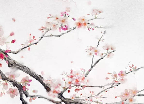 生肖属龙的妈妈和什么生肖属相的小孩是三合，猴，鼠，龙为三合