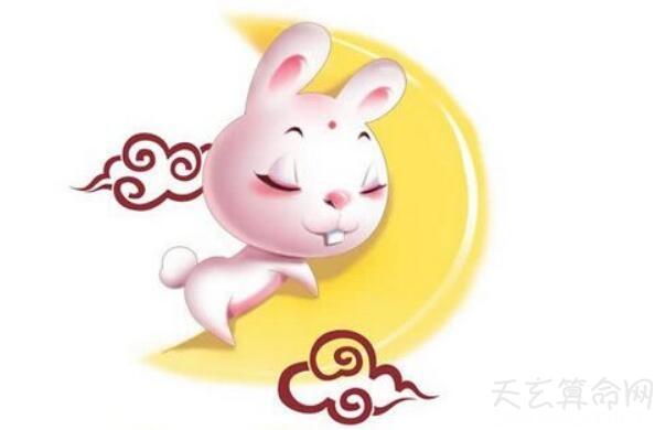 不同年份属兔人2019运势解读 1987年属兔人结婚添丁的好时机