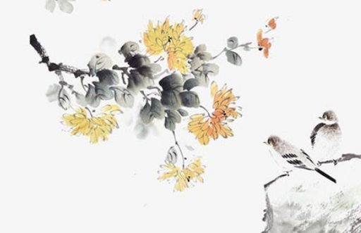 2020年12月30号十一月十六出生的男孩命运好吗,周易八字起名
