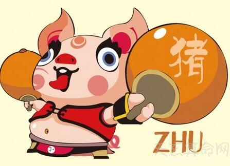2019年属猪是什么五行 已亥年出生的五行为土