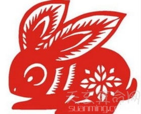 2019年属兔的运势  今年整体运势顺风顺水