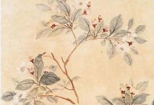 女孩取名带娇字 娇字配什么做名字好