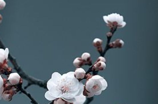 2020年3月12号出生的男孩怎么取名字，五行属什么