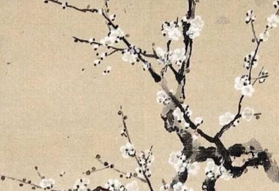 2020年5月出生的宝宝起名方法介绍,古诗词加八字五行