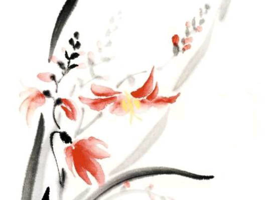 生肖属猴妈妈适合生什么生肖属相的宝宝,有福气