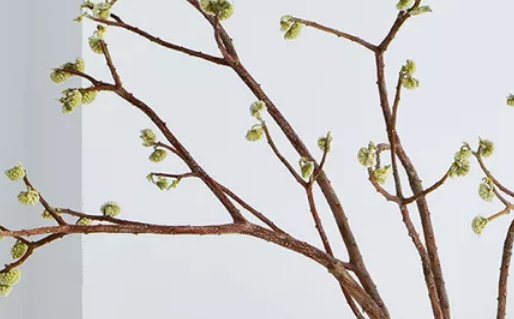 2020年7月2号五月十二生的男孩命运好吗,如何起名字