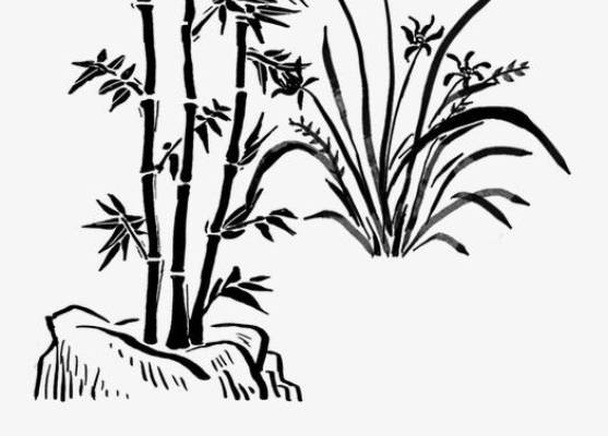 2019猪年12月份生肖属猴人贵人运好不好，适合创业吗