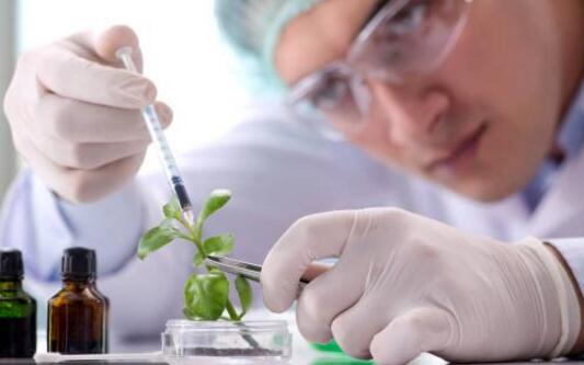 生物技术有限公司起名，这四点一定要注意
