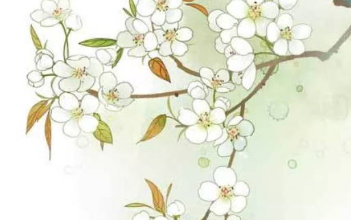 2020年6月6号闰四月十五生的男孩命运好吗,取什么名字吉祥