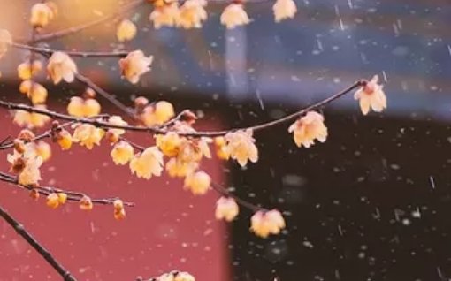 2020年6月22号五月初二出生的女孩是什么命,取什么名字好