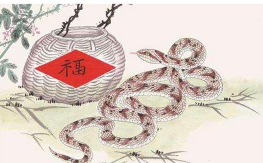 不同年份属蛇人2019运势，今年运势较低迷