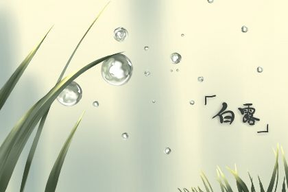 白露节气发朋友圈的句子2021年 经典好听的文案