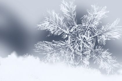 2020年小雪出生的男孩命运 社交能手 会说甜言蜜语