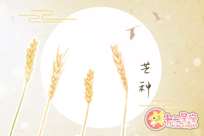 2019年芒种是几月几日几时几分 芒种由来