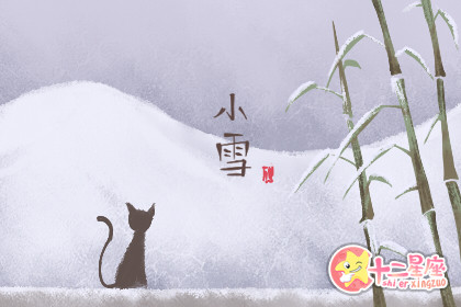 小雪的由来和特点 节气小雪的来历