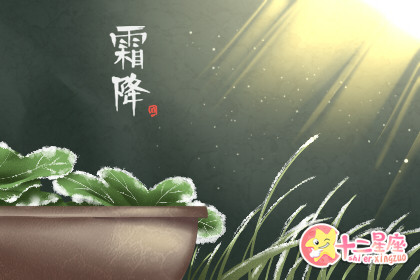 霜降节气吃什么养生 养生食物
