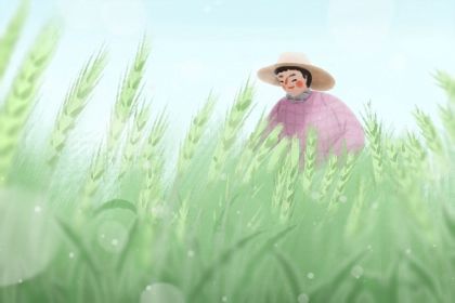 小满吃什么传统食物 有什么说法