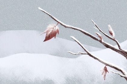 2020年小雪节气出生的宝宝最好 最活泼