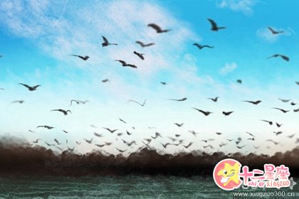 霜降手抄报怎么画 霜降资料分享