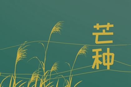 2022年芒种是几月几号几点几分 今年芒种具体时间