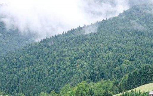 2021年牛年女宝宝三月份出生好 名利双收之人