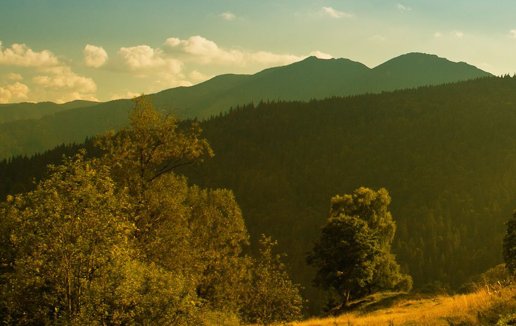 属牛女2021本命年要不要穿红色,本命年穿红色好