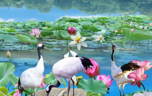 1973年属牛人2021本命年注意事项，低调行事注意安全