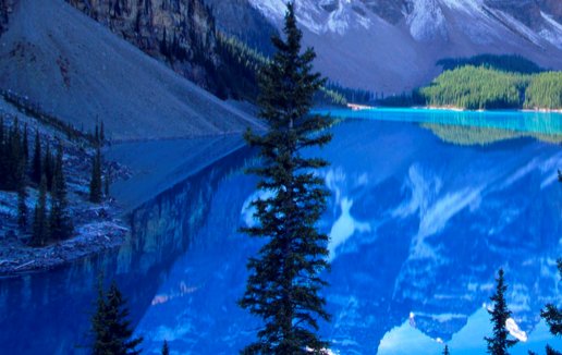 2021年属牛几月出生旺父母，三月七月出生好