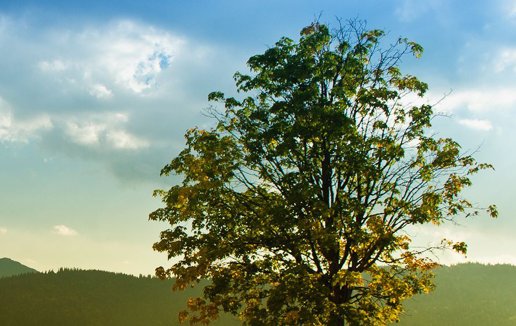 属牛女2021本命年要不要穿红色,本命年穿红色好