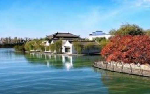 1973年属牛人2021本命年注意事项，低调行事注意安全