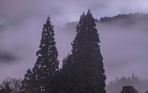 1985年属相牛2021本命年运势好不好，需佩戴何物