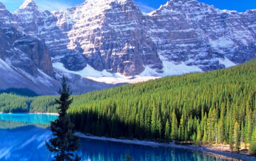 2021年属牛几月出生旺父母，三月七月出生好