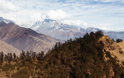 2009年出生属牛人2021本命年运气如何,需要佩戴什么