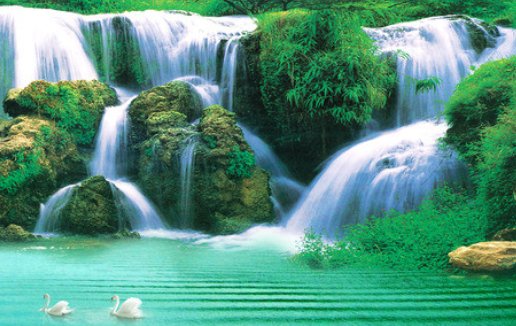 牛宝宝旺父母 2021年有添丁之喜的生肖有哪些