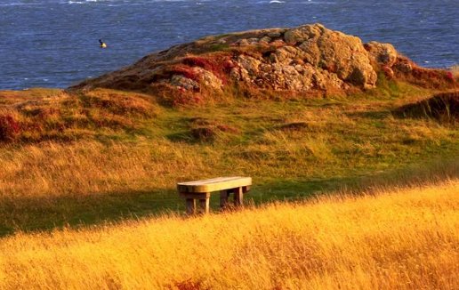 本命年属牛的男人2021年今年，要注意什么