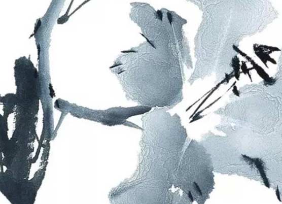 2021年生肖牛本命年提车注意事项