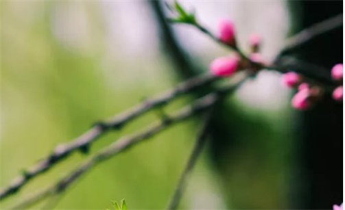 2023年2月7日出行好不好 是出门旅游的最佳时机吗