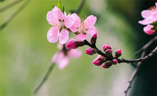 2023年2月14日情人节出行好不好 是出门约会的最佳时机吗