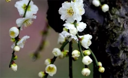 2023年2月5日元宵节修建房屋开工动土好吗 当天动土吉时查询