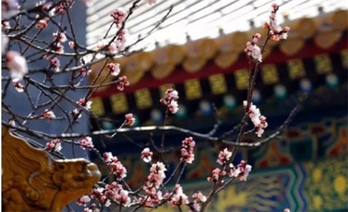黄道吉日2023年农历二月出行 出门最吉利的日子