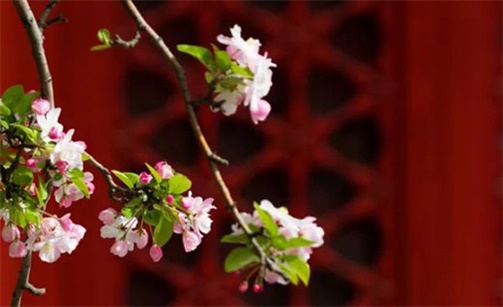 2023年2月14日情人节动土开工好不好 是盖房的好日子吗