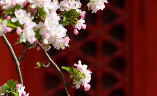 2023年2月12日是建房动工动土黄道吉日吗